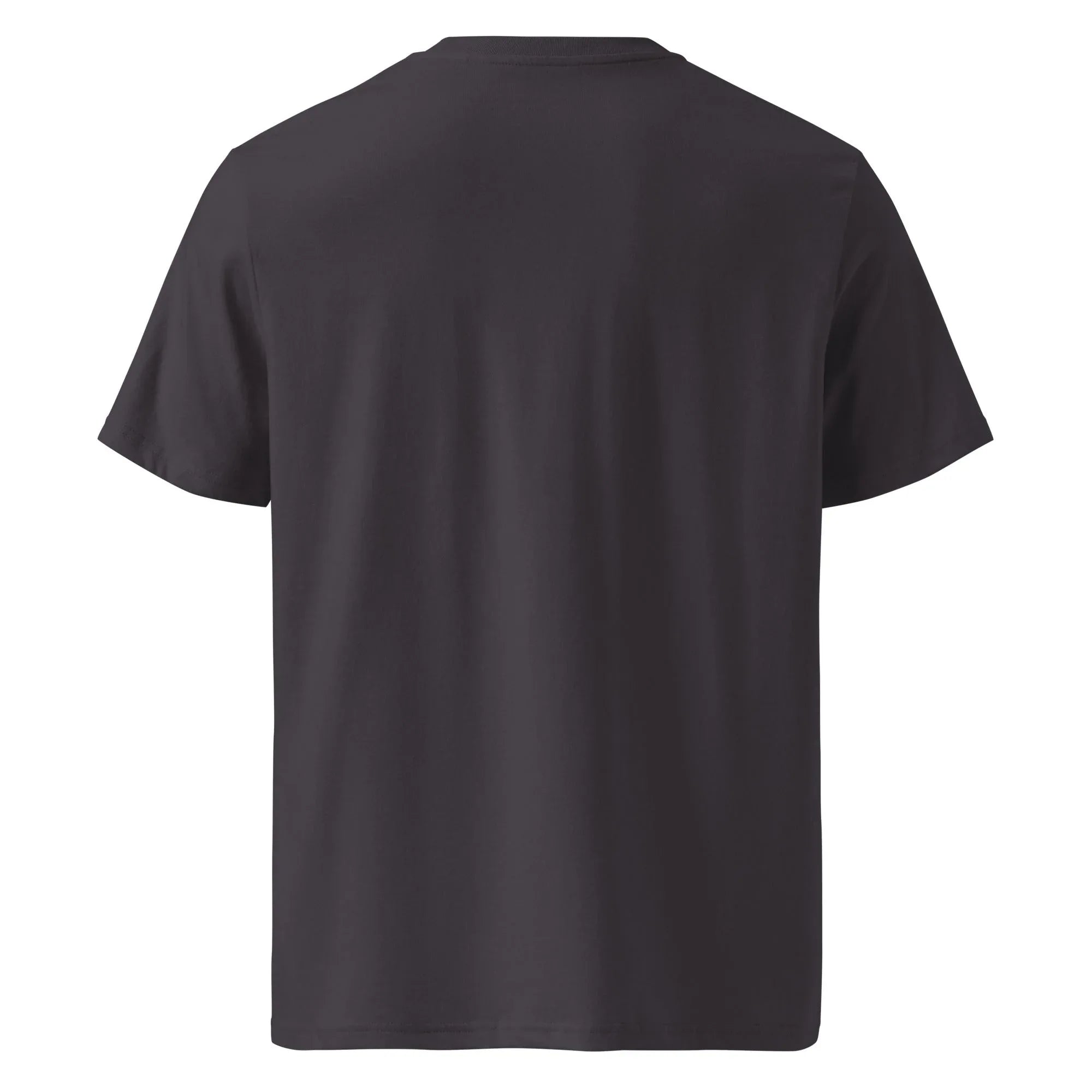 Unisex | Big Dreams Big Actions Organic Cotton T-Shirt T-Shirt AwRans Clothing unisex-organic-cotton-t-shirt-anthracite-back-665041fb30582