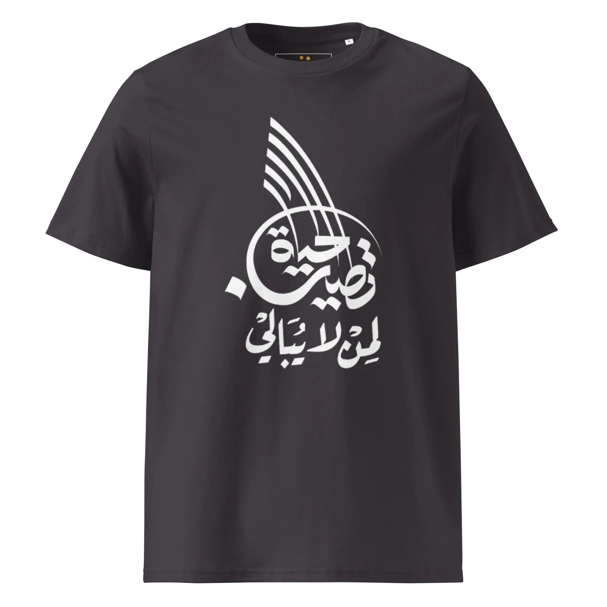 Unisex | Life Is Good For Those Who Don't Care | Organic Cotton T-Shirt Anthracite T-Shirt AwRans Clothing unisex-organic-cotton-t-shirt-anthracite-front-665042e71b4b1