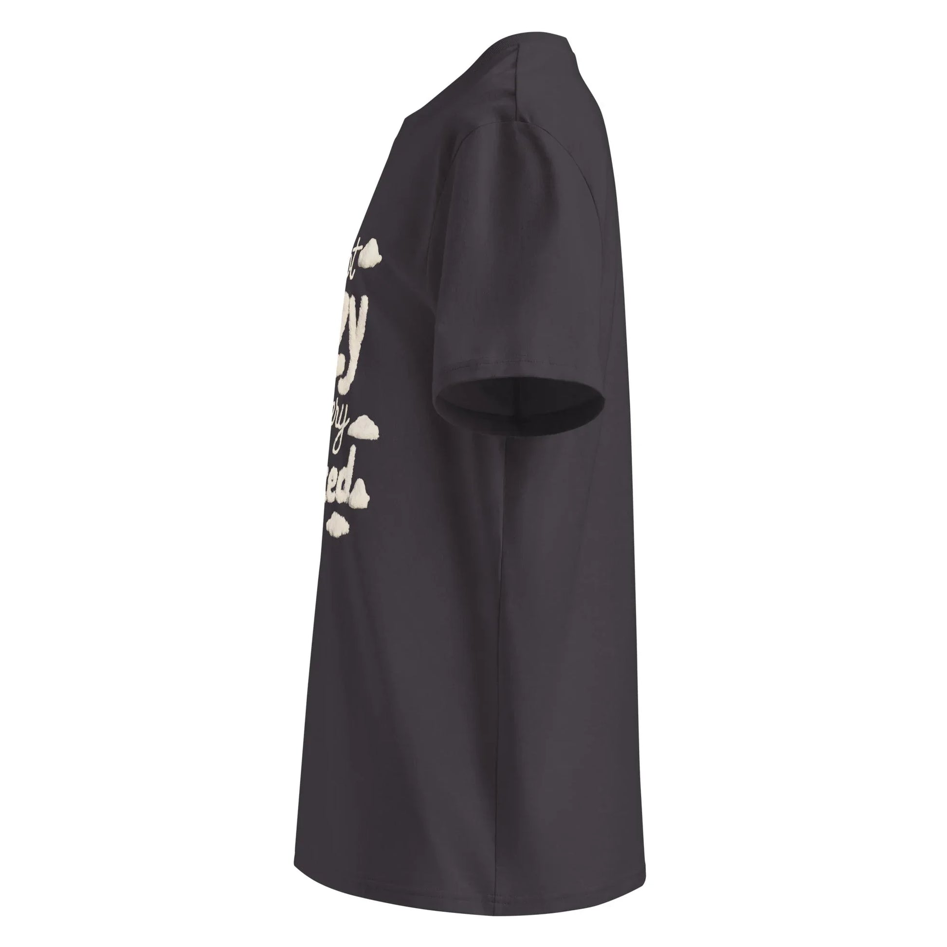 Unisex | I'm Not Lazy I'm Just Relaxed Organic Cotton T-Shirt - AwRans Clothing