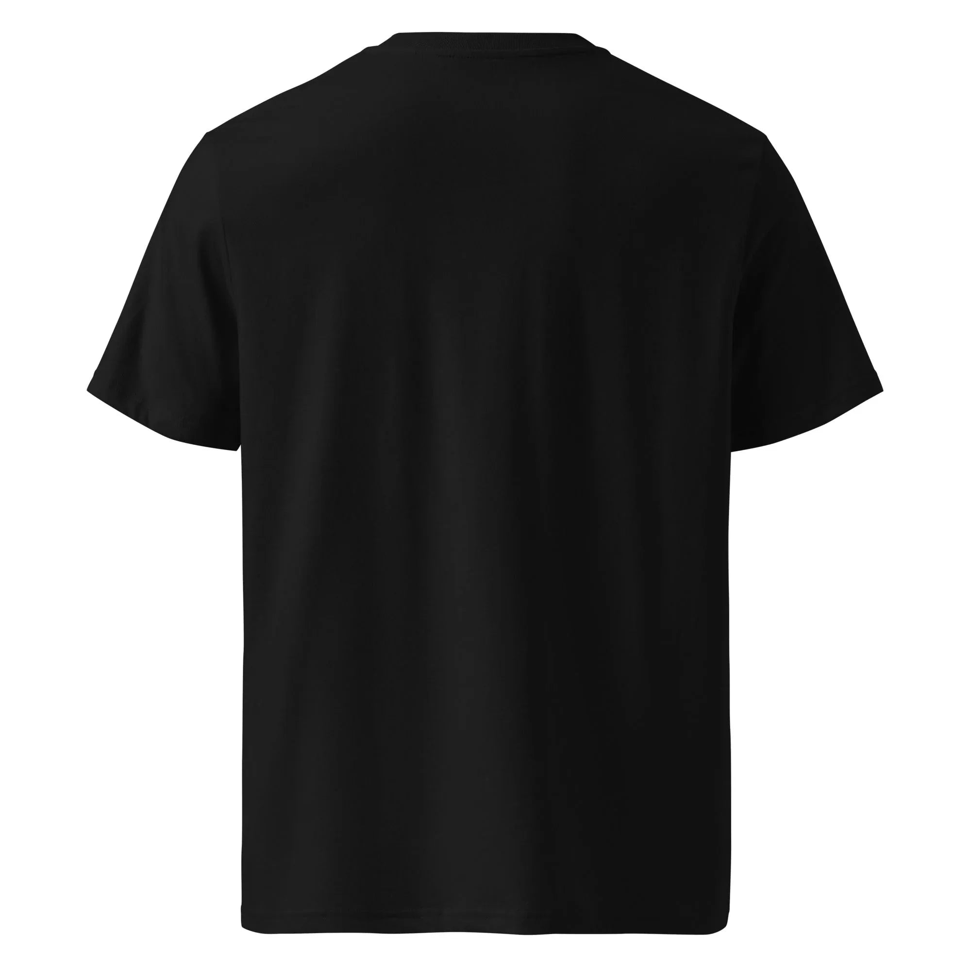 Unisex | 'M SO COOL ICE CUBES - Organic Cotton T-Shirt T-Shirt AwRans Clothing unisex-organic-cotton-t-shirt-black-back-665e7300d4980