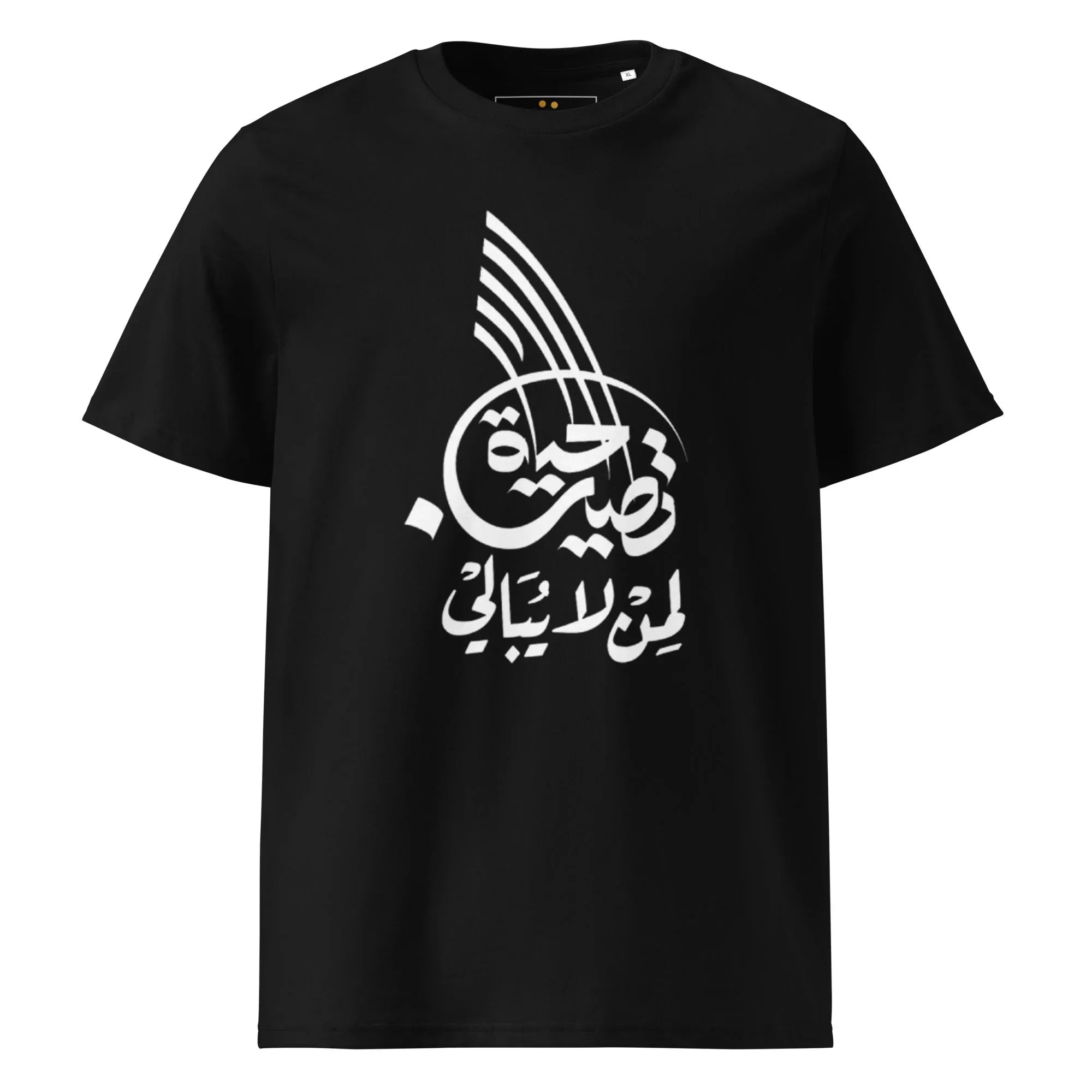 Unisex | Life Is Good For Those Who Don't Care | Organic Cotton T-Shirt Black T-Shirt AwRans Clothing unisex-organic-cotton-t-shirt-black-front-665042e6dcab2