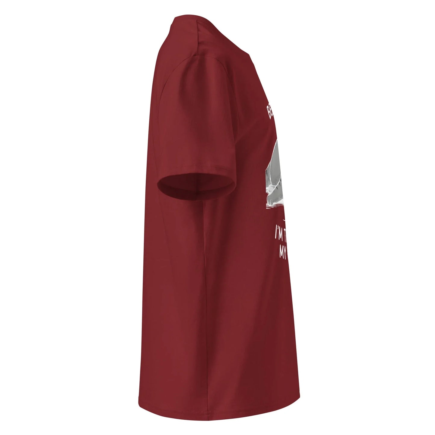 Unisex | Believe Me I'm Trying My Best - Organic Cotton T-Shirt - AwRans Clothing