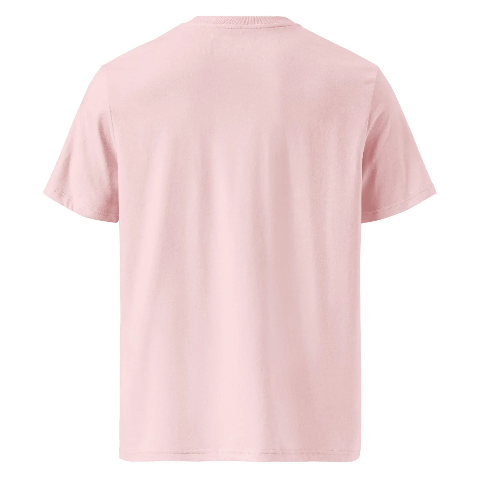 Unisex | Life Is Good For Those Who Don't Care | Organic Cotton T-Shirt T-Shirt AwRans Clothing unisex-organic-cotton-t-shirt-cotton-pink-back-66338dfb87f91