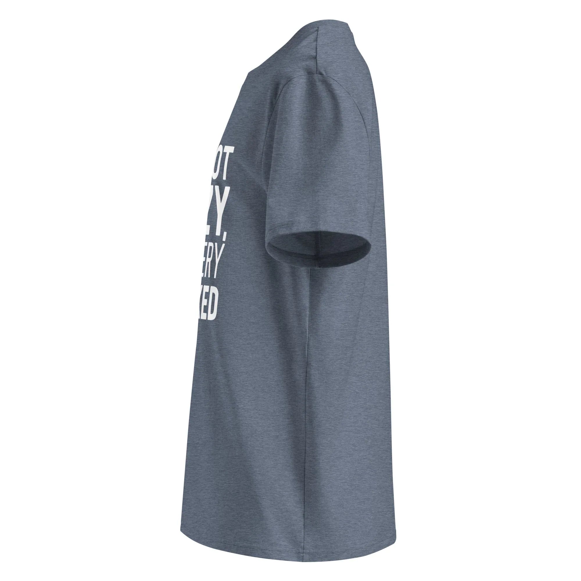 Unisex | I'm Not Lazy I'm Just Very Relaxed - Organic Cotton T-Shirt T-Shirt AwRans Clothing unisex-organic-cotton-t-shirt-dark-heather-blue-left-6663eb03f0580