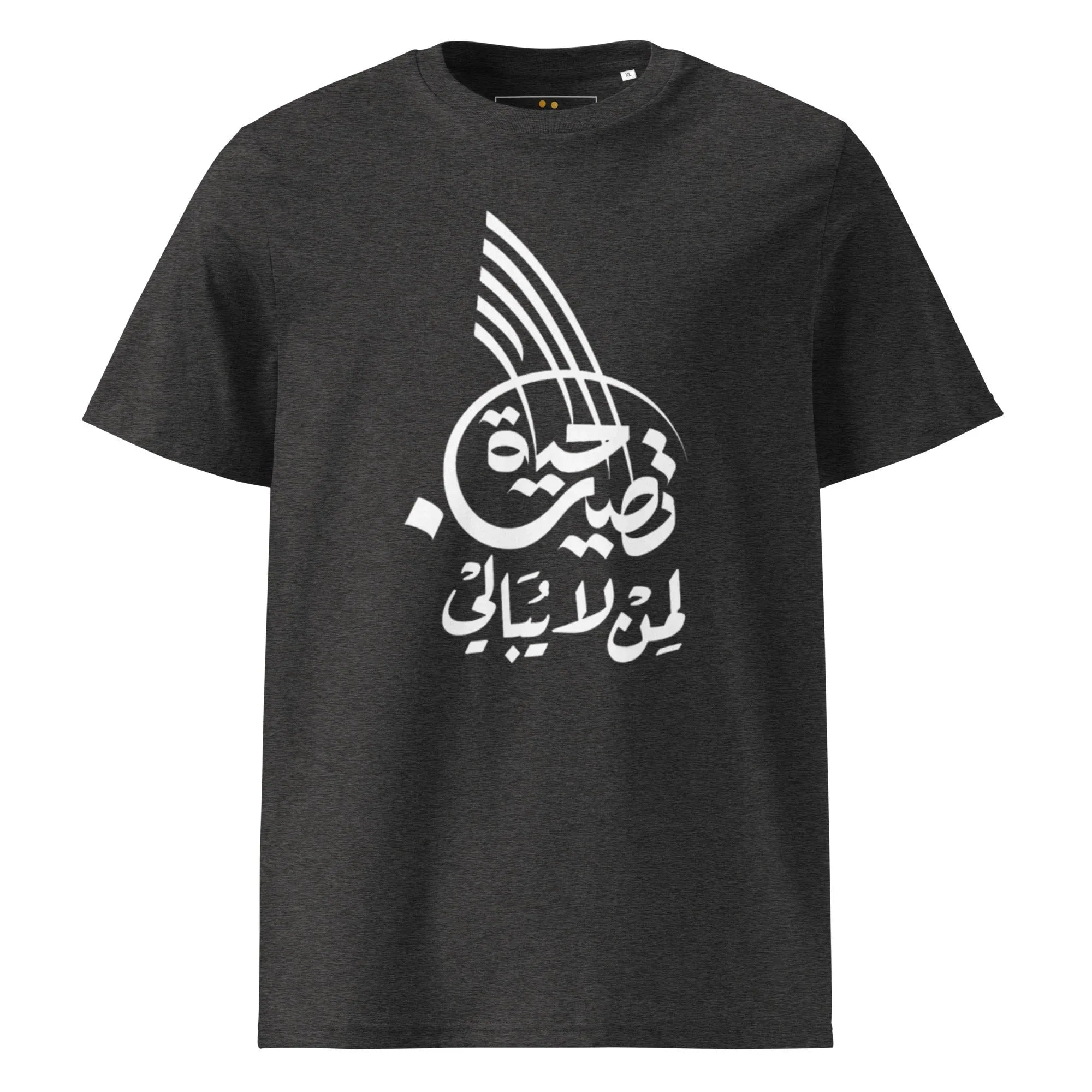 Unisex | Life Is Good For Those Who Don't Care | Organic Cotton T-Shirt Dark Heather Grey T-Shirt AwRans Clothing unisex-organic-cotton-t-shirt-dark-heather-grey-front-665042e6ee053