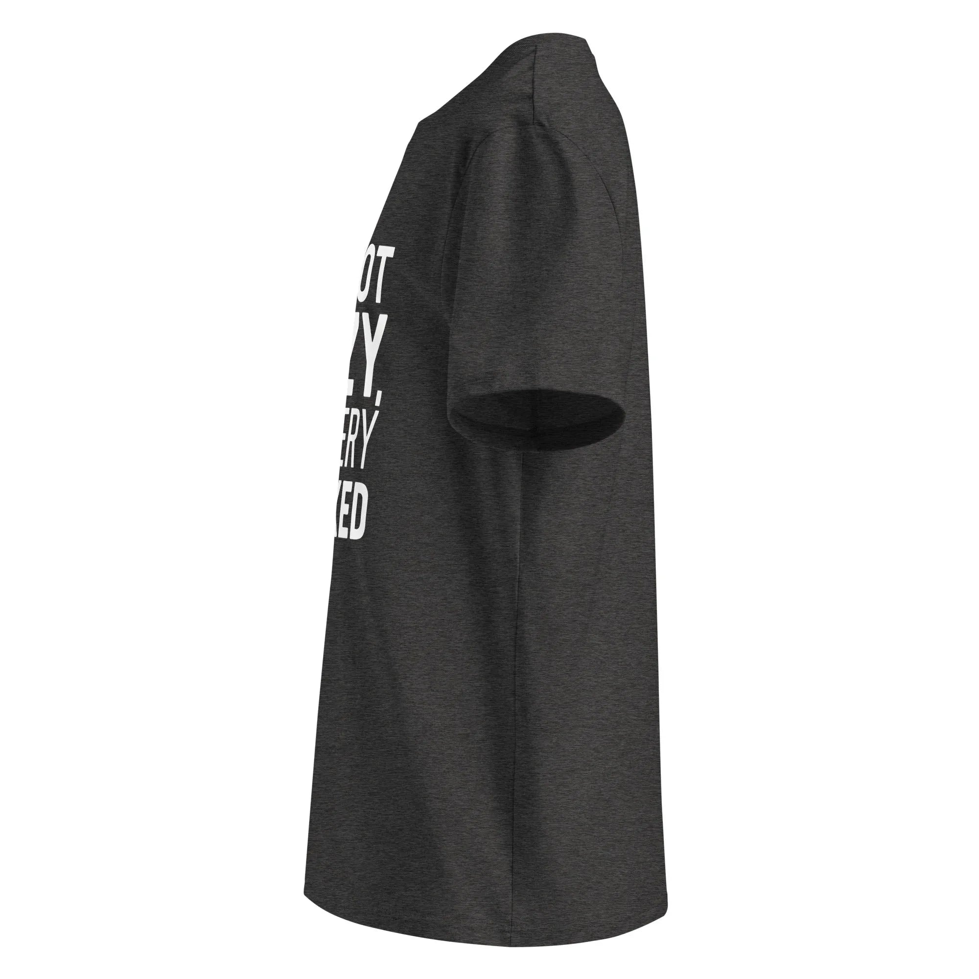 Unisex | I'm Not Lazy I'm Just Very Relaxed - Organic Cotton T-Shirt T-Shirt AwRans Clothing unisex-organic-cotton-t-shirt-dark-heather-grey-left-6663eb02d2b2e