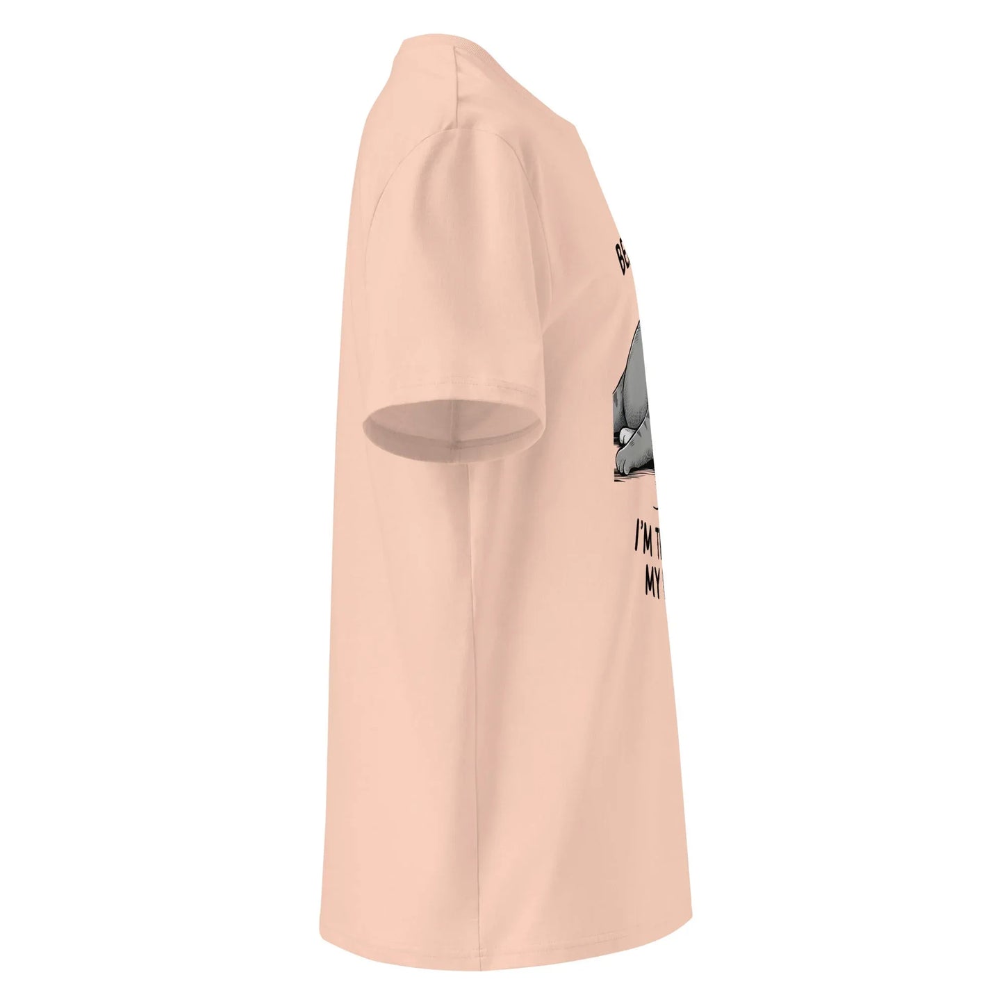 Unisex | Believe Me I'm Trying My Best - Organic Cotton T-Shirt - AwRans Clothing