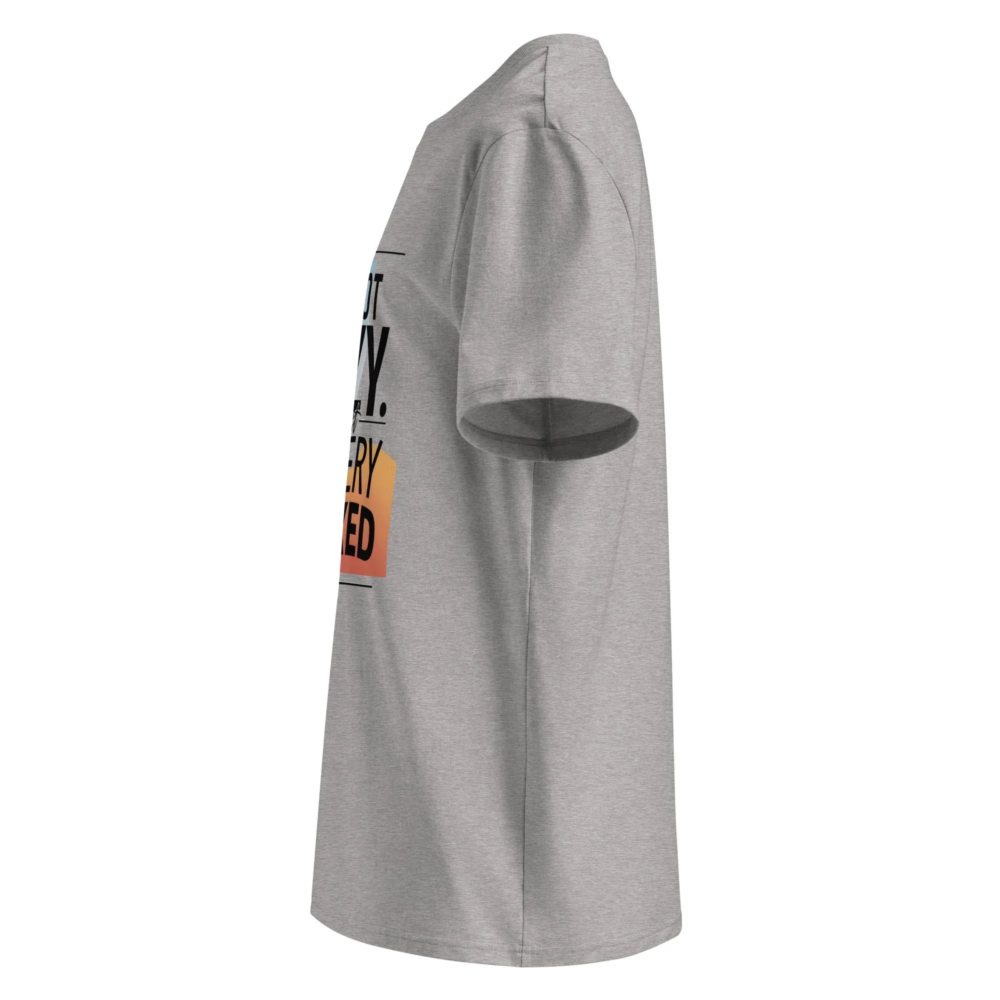 Unisex | I'm Not Lazy I'm Just Relaxed Organic Cotton T-Shirt T-Shirt AwRans Clothing unisex-organic-cotton-t-shirt-heather-grey-left-665e71994036c