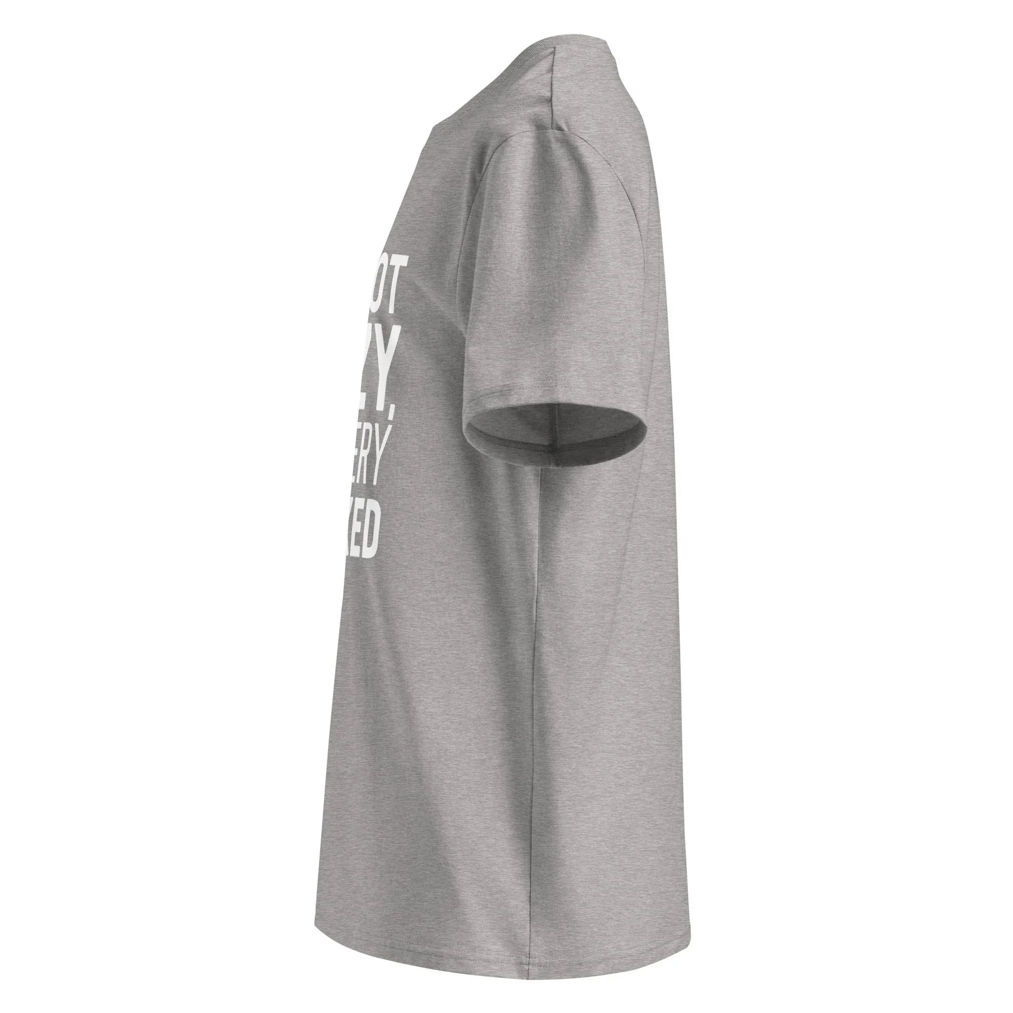 Unisex | I'm Not Lazy I'm Just Very Relaxed - Organic Cotton T-Shirt T-Shirt AwRans Clothing unisex-organic-cotton-t-shirt-heather-grey-left-6663eb0446faa