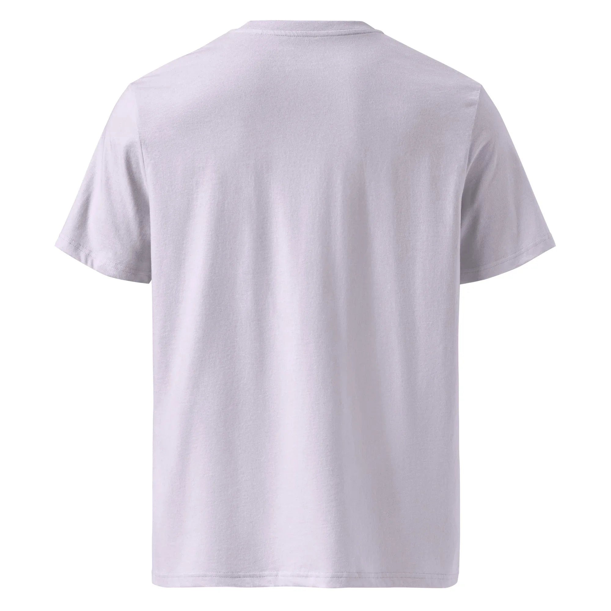 Unisex | Don't Wish For It Work For It - Organic Cotton T-Shirt T-Shirt AwRans Clothing unisex-organic-cotton-t-shirt-lavender-back-6663e72eeb54b