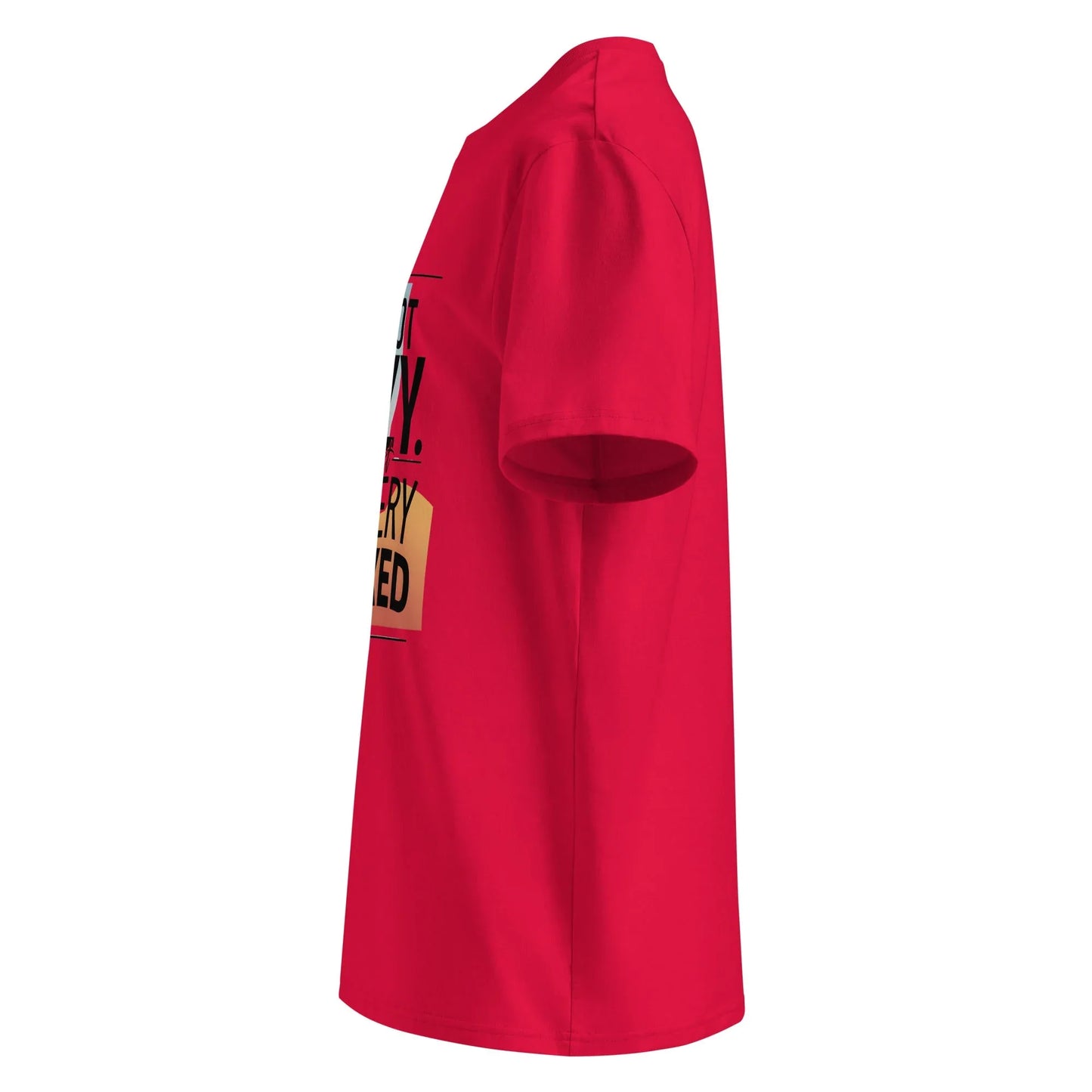 Unisex | I'm Not Lazy I'm Just Relaxed Organic Cotton T-Shirt - AwRans Clothing