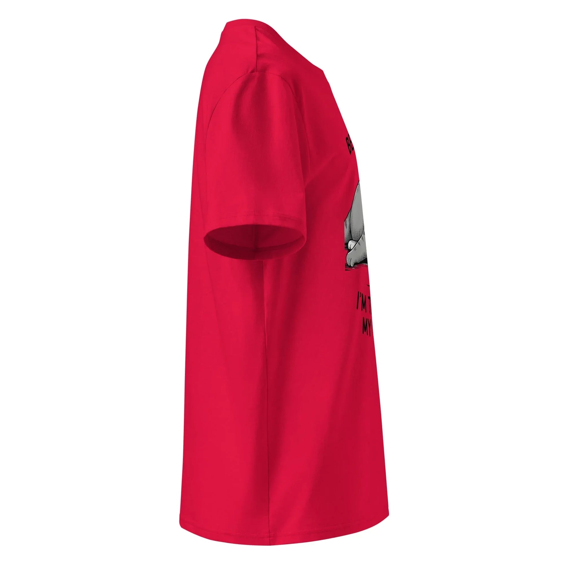 Unisex | Believe Me I'm Trying My Best - Organic Cotton T-Shirt - AwRans Clothing