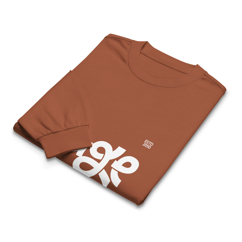 Unisex Premium Heavyweight Long Sleeve Shirt | Huge long sleeve shirt AwRans Clothing unisex-premium-heavyweight-long-sleeve-shirt-clay-front-67f294301f71b