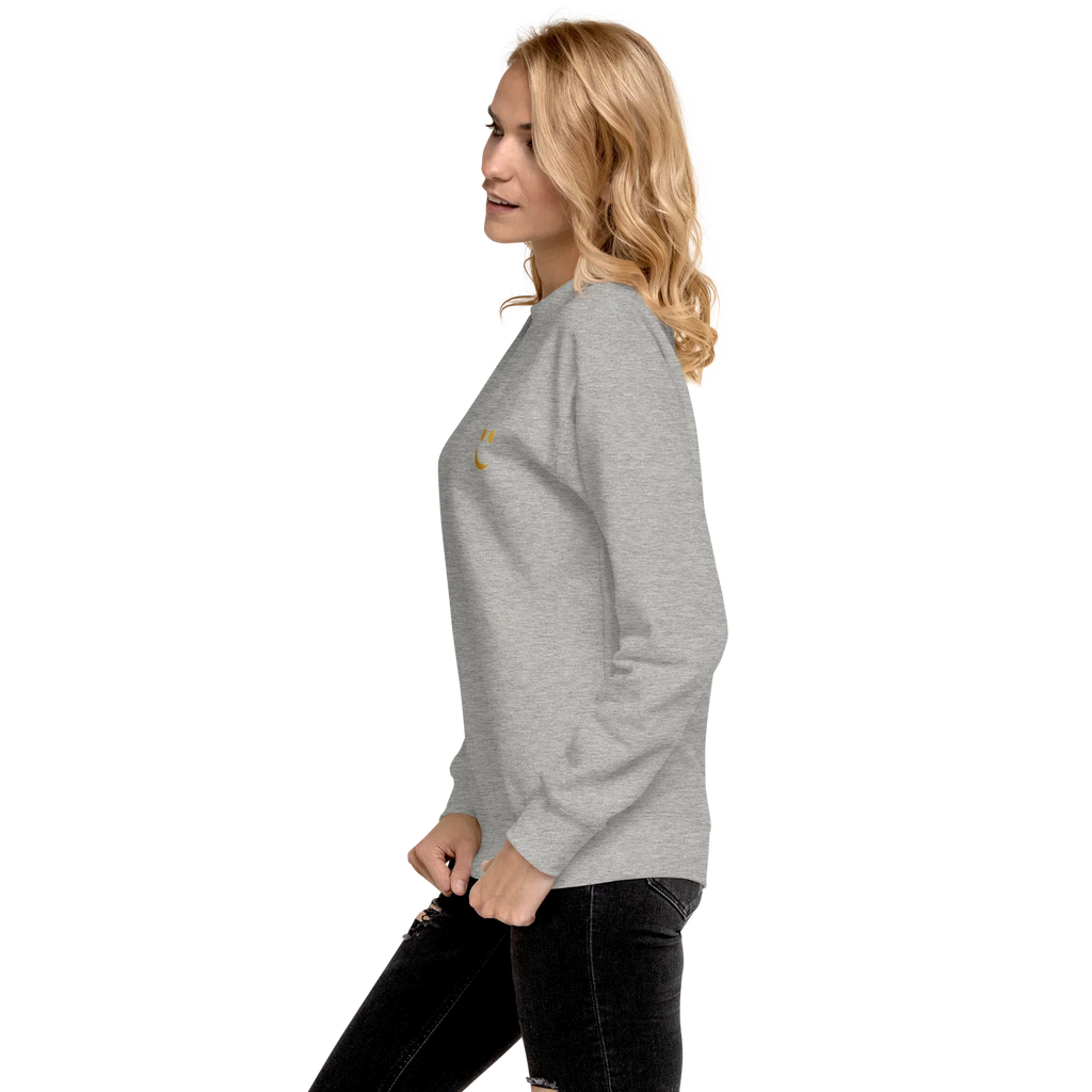 RS | Premium Sweatshirt Sweatshirt AwRans Clothing unisex-premium-sweatshirt-carbon-grey-left-65a972a13469a