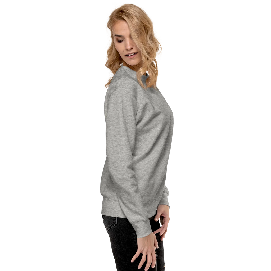 RS | Premium Sweatshirt Sweatshirt AwRans Clothing unisex-premium-sweatshirt-carbon-grey-right-65a972a134bb4