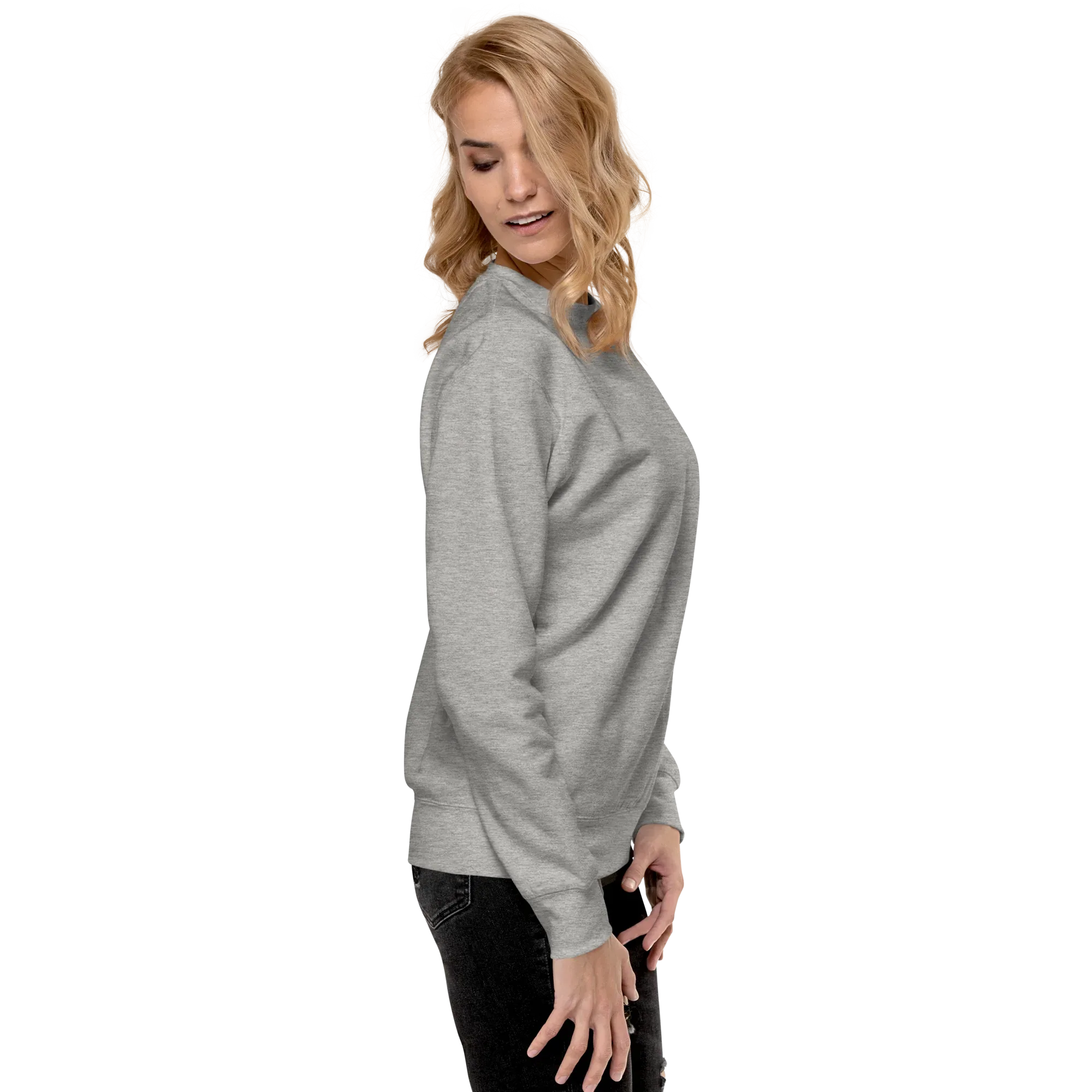 RS | Premium Sweatshirt Sweatshirt AwRans Clothing unisex-premium-sweatshirt-carbon-grey-right-65a972a134bb4