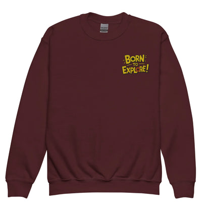 Born To Explore | Youth Crewneck Embroidered Sweatshirt - AwRans Clothing
