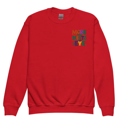 More Than Meets Eye | Youth Crewneck Embroidered Sweatshirt - AwRans Clothing